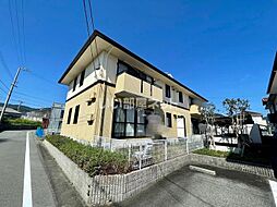 ハイカムールなつめ　Ａ