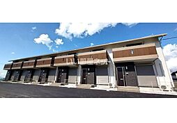 Pin tail 五岳 (パンテール ゴガク)　　　B