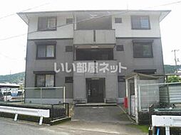 ハイカムール河内