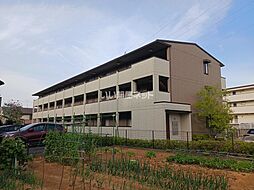 カーザ・フェリーチェ 305