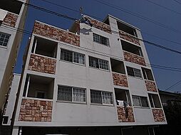 熊本電気鉄道 三ツ石駅 徒歩21分の賃貸マンション