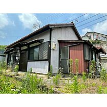 MINCA(猪根)