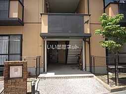 5 / 9