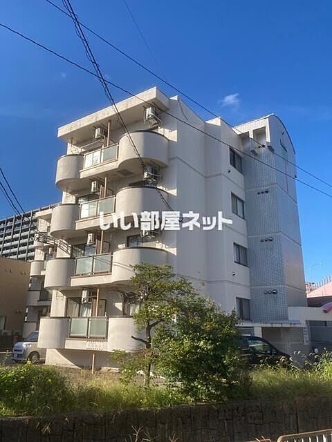 2 / 11