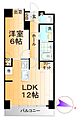 フォーシーズン開成山公園10階7.0万円