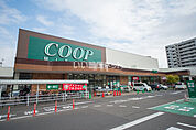【スーパー】COOP MIYAGI(みやぎ生協) 榴岡店まで1187ｍ
