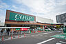 周辺：【スーパー】COOP MIYAGI(みやぎ生協) 榴岡店まで896ｍ