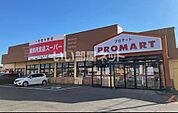 【スーパー】プロマート今泉店まで563ｍ