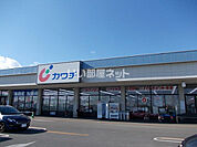 【ドラッグストア】カワチ薬品 若松原店まで1533ｍ