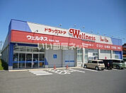 【ドラッグストア】ドラッグストアウェルネス 平田中ノ島店まで1653ｍ