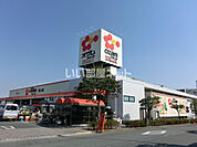 【スーパー】オザムバリュー野上店まで1059ｍ