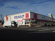 【ドラッグストア】ウエルシア清水天王店まで494ｍ