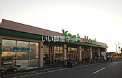 【スーパー】ヨークマート 成田店まで1789ｍ