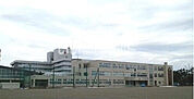 【小学校】旭川市立青雲小学校まで1079ｍ