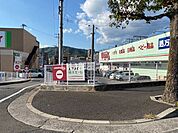 【ドラッグストア】ウォンツ 楠木店まで354ｍ