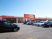 【スーパー】ザ・ビッグ 大曲飯田店まで352ｍ