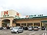 周辺：【スーパー】ハローズ丸亀店まで392ｍ