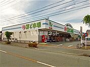 【スーパー】鮮ど市場玉名店まで1331ｍ