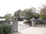 【中学校】市原市立国分寺台西中学校まで857ｍ