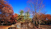 【公園】智光山公園まで2093ｍ