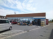 【スーパー】たつみーストア 御津店まで245ｍ