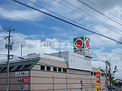 【スーパー】タイヨー花棚店まで1308ｍ