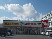 【ドラッグストア】スギドラッグ　長良店まで697ｍ