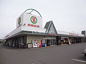 【スーパー】新鮮市場まで441ｍ