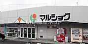 【スーパー】マルショク 塩浜店まで280ｍ