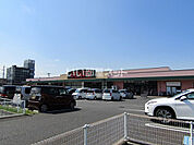 【スーパー】SENDO(せんどう) 茂原店まで1376ｍ