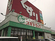 【ドラッグストア】スギドラッグ芥見店まで1260ｍ
