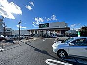 【スーパー】みやぎ生協　西多賀店まで340ｍ