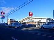 【ホームセンター】コメリハード&グリーン鹿島店まで537ｍ