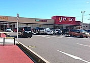 【スーパー】ヤオコー柏若葉町店まで809ｍ