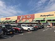 【スーパー】ヤオコー川越山田店まで1145ｍ