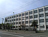 周辺：【小学校】白楊小学校まで685ｍ