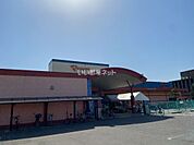 【スーパー】松山生協 石井店まで1054ｍ