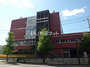 【高校】札幌大通高等学校まで583ｍ