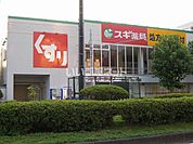 【ドラッグストア】スギ薬局鷹匠店まで1083ｍ