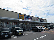 【レンタルビデオ】ゲオ貝塚店まで902ｍ