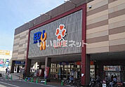 【スーパー】ライフ石津店まで930ｍ
