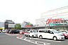 周辺：【スーパー】オークワ本社中島店まで1076ｍ
