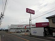【ドラッグストア】ディスカウントドラッグコスモス 飯山店まで1105ｍ