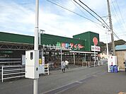 【スーパー】食鮮館タイヨー 横砂店まで1009ｍ