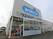 【ドラッグストア】ウエルシア　結城新福寺店まで1325ｍ
