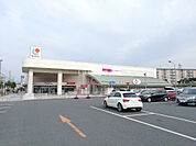 【スーパー】サンリブ高須店まで263ｍ