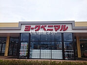 【スーパー】ヨークベニマル大田原住吉店まで2298ｍ