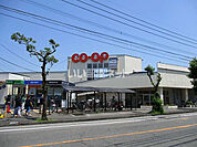 【スーパー】コープみやざき　大塚店まで1975ｍ