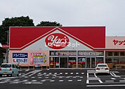 【ドラッグストア】ヤックスドラッグ大和田店まで795ｍ