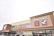 【スーパー】ヨークベニマル桑野店まで594ｍ